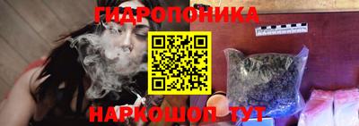 гашик Обнинск