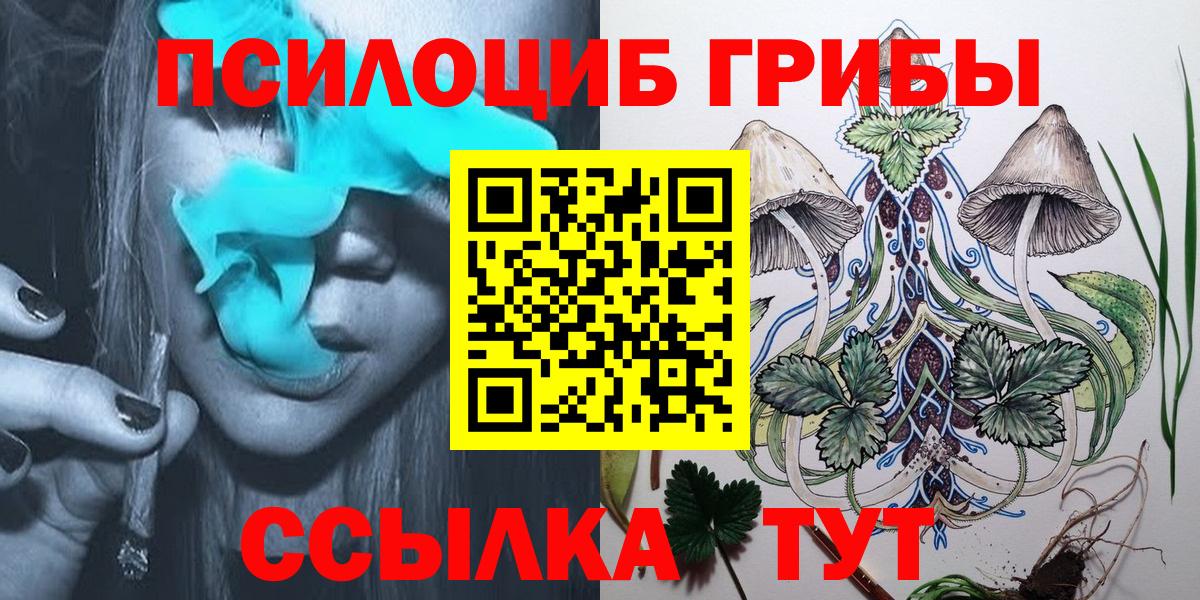 Галлюциногенные грибы MAGIC MUSHROOMS  Вход с VPN  Саяногорск 